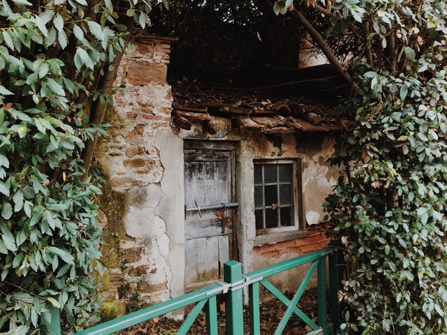 an old home surrounded by vines