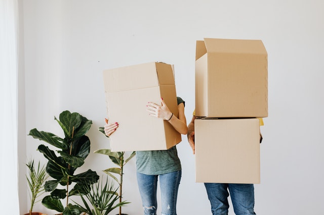 Two people standing next to a house plant and holding cardboard moving boxes