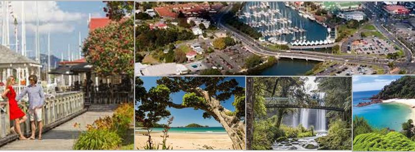 Whangarei Banner small » Team Davis All About Living in Whangarei