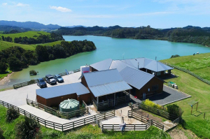 Ultimate Lifestyle Property SOLD by Team Davis with Harcourts Whangarei