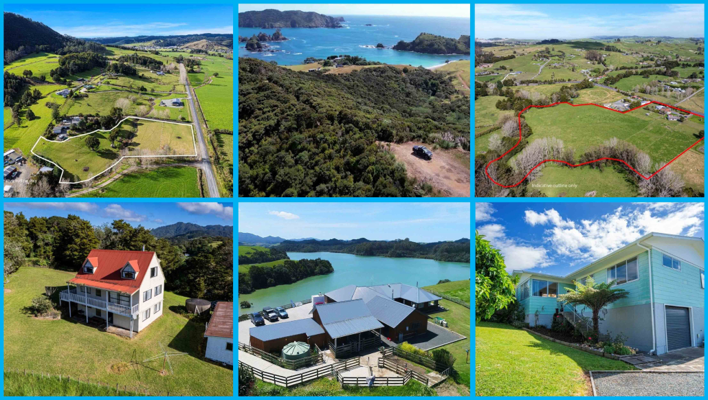 Properties For Sale by Team Davis with Harcourts Whangarei
