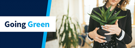 Adding Greenery to add Colour to your Home