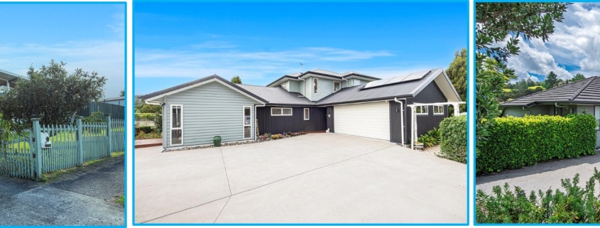 What to Look for in a Real Estate Agent in Whangārei