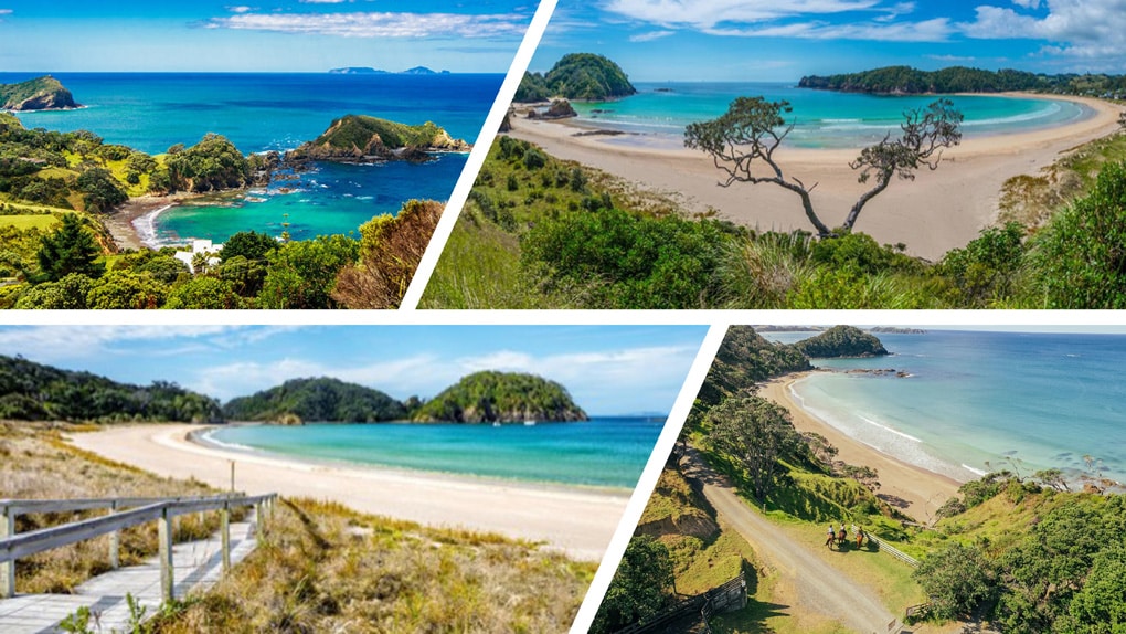 Northland Beaches Montagesml » Team Davis Northland Amazing Coast with lots of Beaches