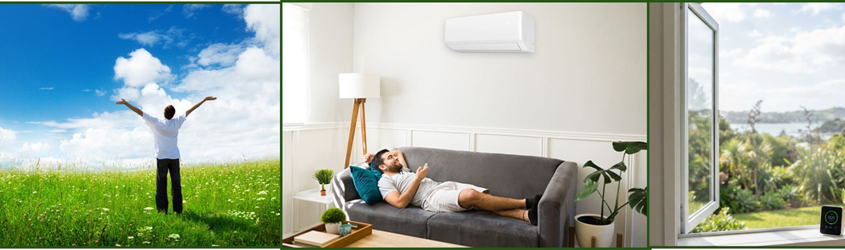 Why Healthy Air Is A Must for Your Next Whangarei Property