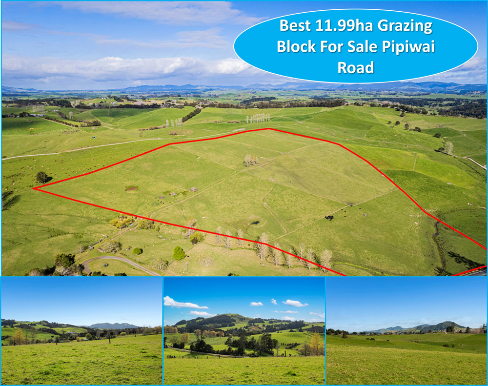 Property For Sale by Team Davis Arizto Real Estate Whangarei